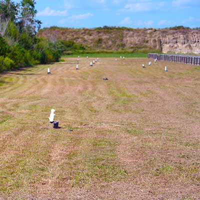 varmint-range-view-400